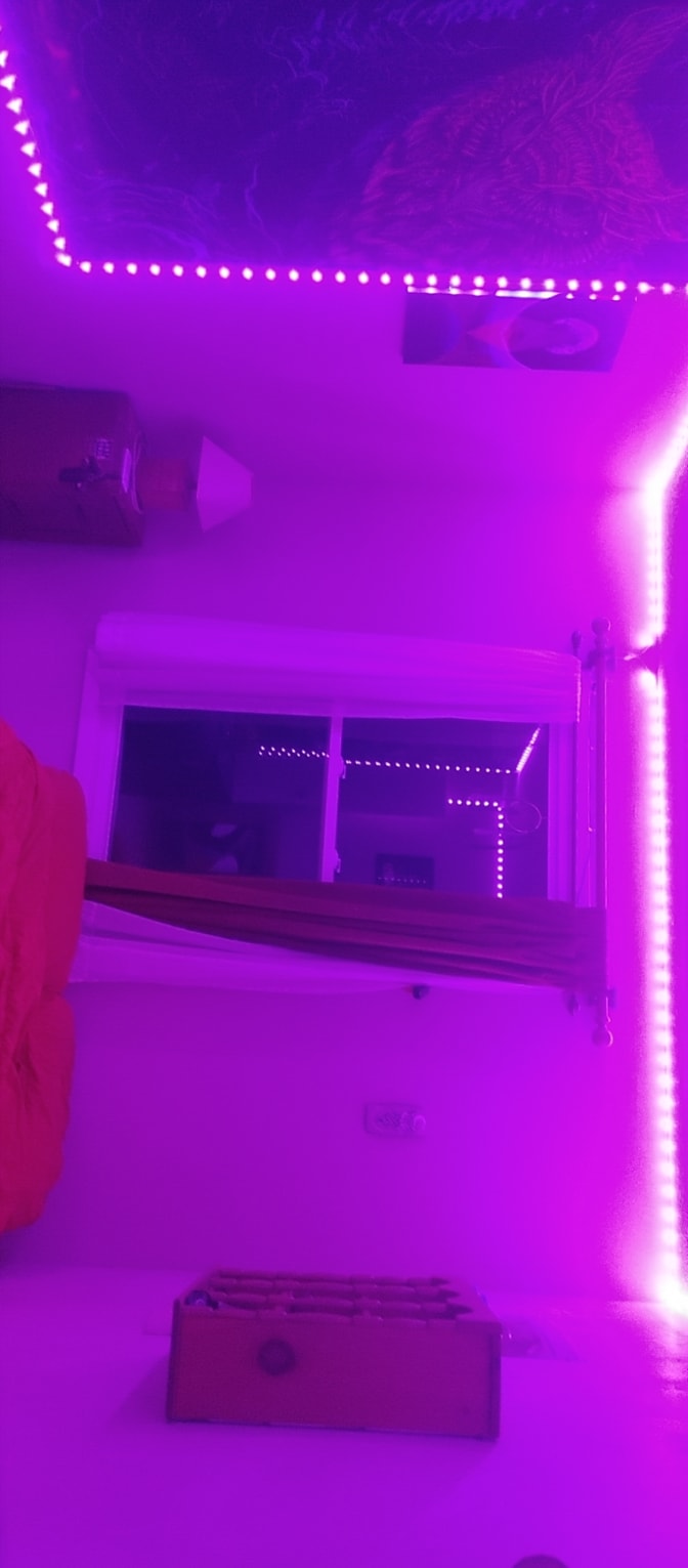 Photo of Chase's room