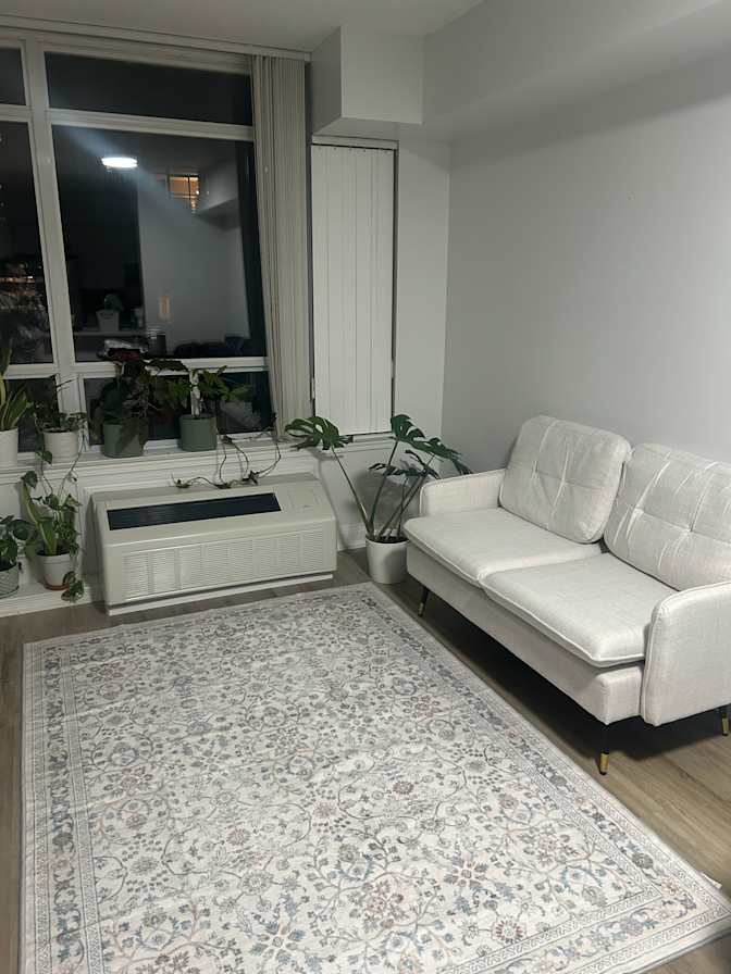 Soheila Shokrollahzade's room