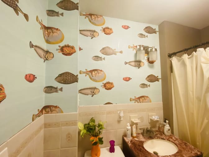 Photo of Cici's room