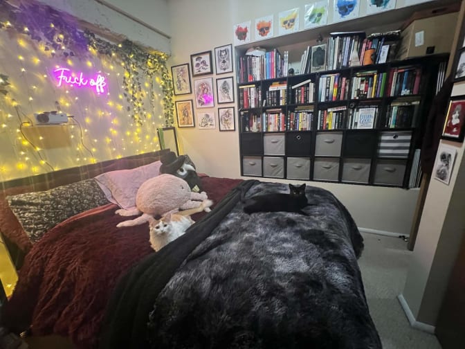 Photo of Michelle's room