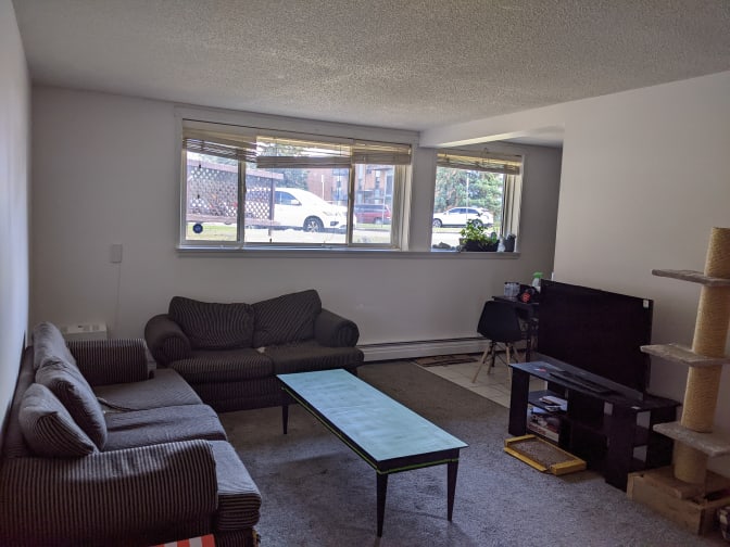 Photo of Finch's room