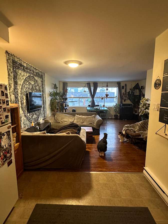 Photo of Hayden Gelsumini's room