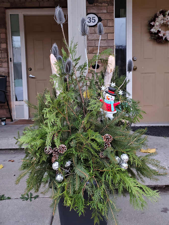 Photo of Susan's room