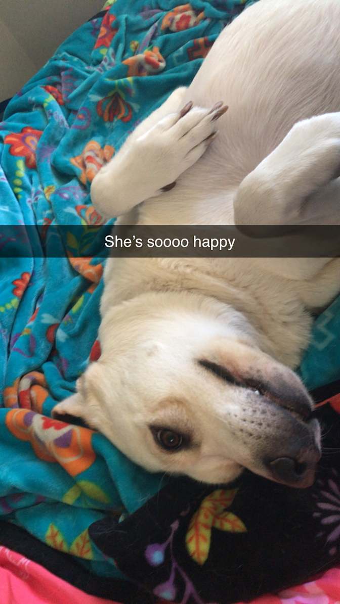 Mackenzie Goodhope's room