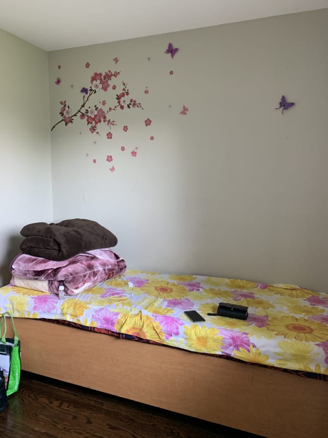 Photo of Jessi Bhatia's room