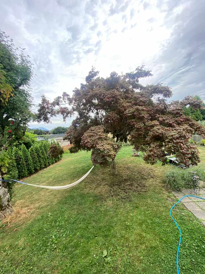 Emerald House's room