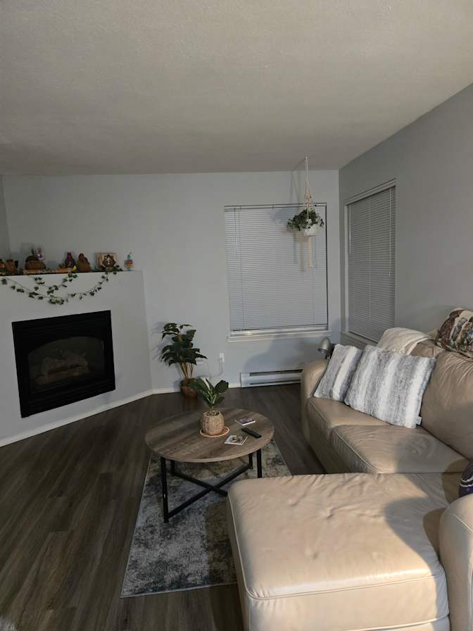 Lareina skolski's room