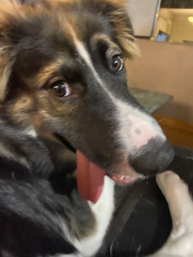 Photo of Bert's room