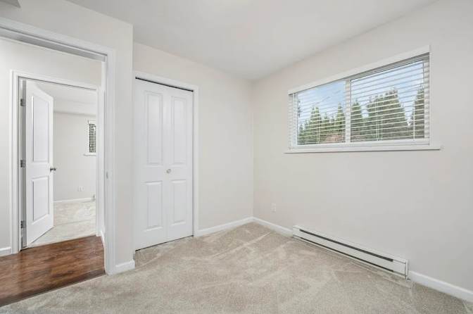 Walkout basement's room