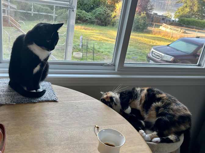 Rebecca Campbell's room