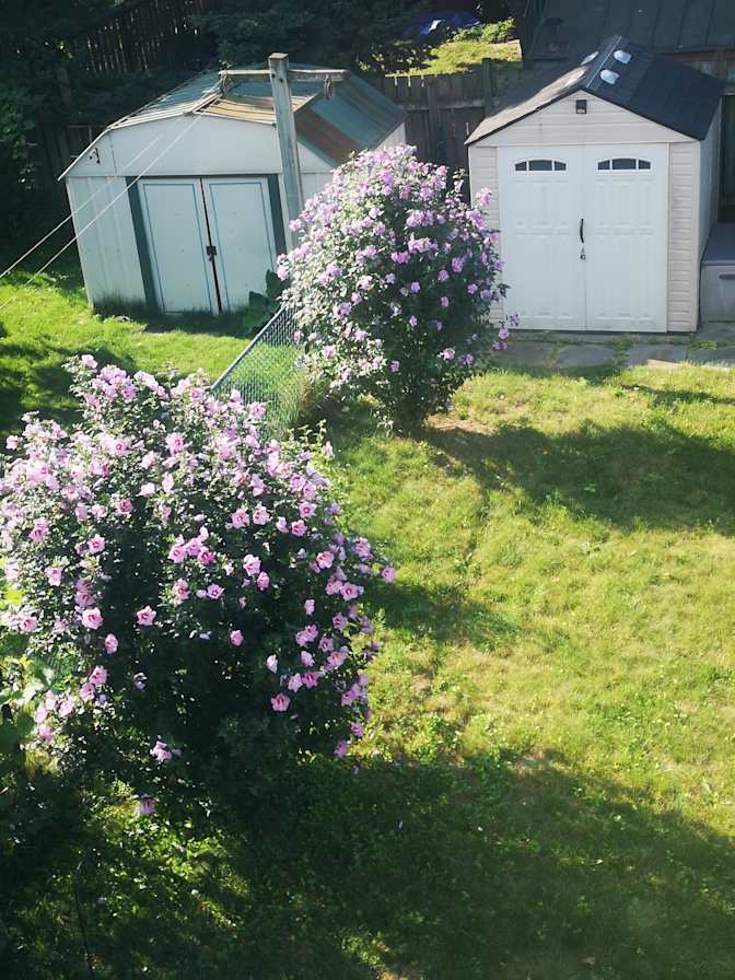 Photo of Princess's room