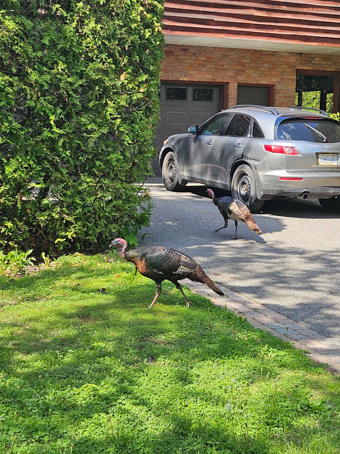 Photo of PHIL's room