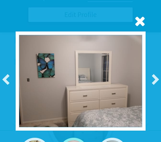 Private room to rent in share house Palm Harbor, Fl...