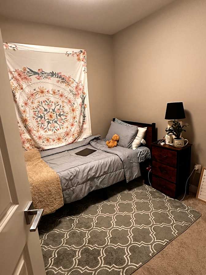 Photo of Dorsa's room