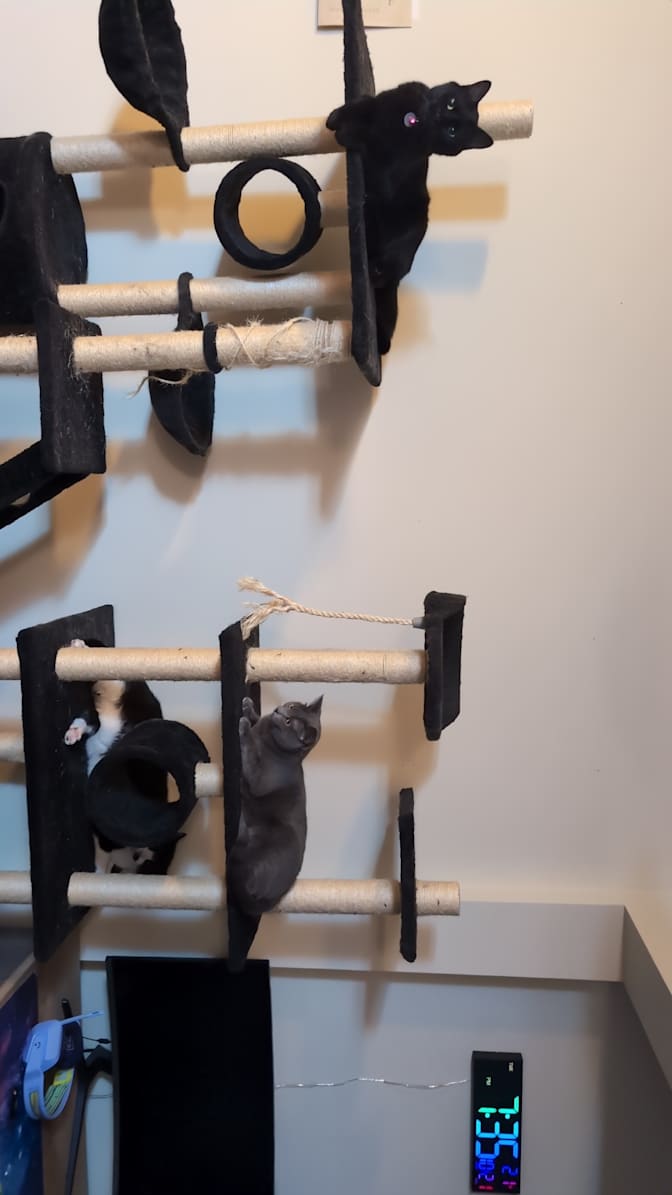 Photo of Ryan Baron's room