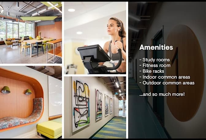 Photo of Annani's room