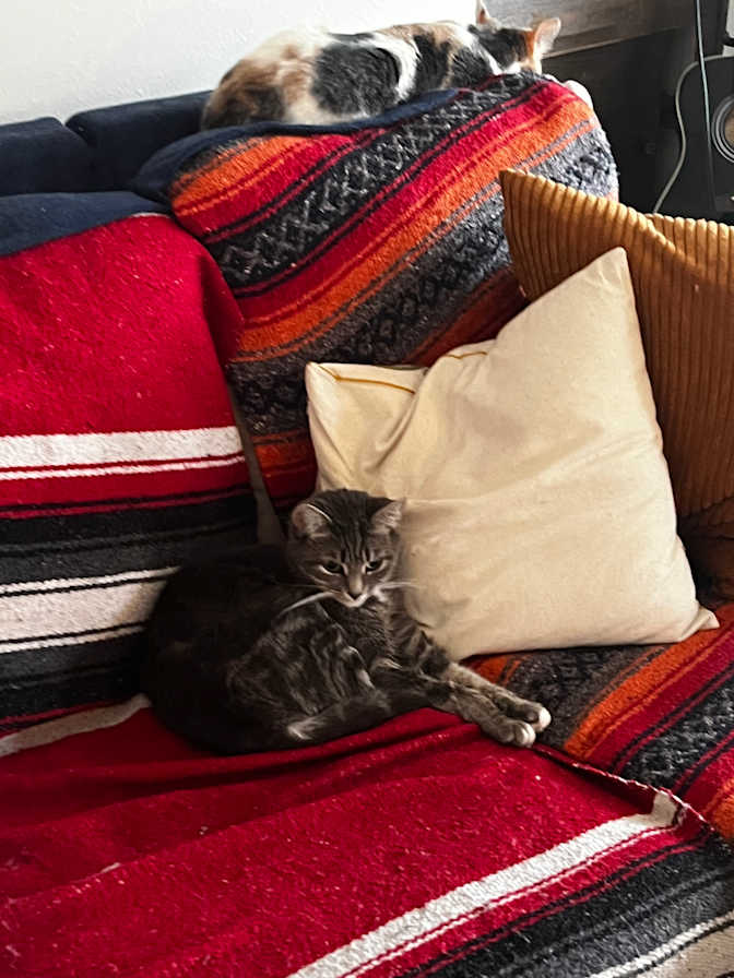 Photo of miah's room