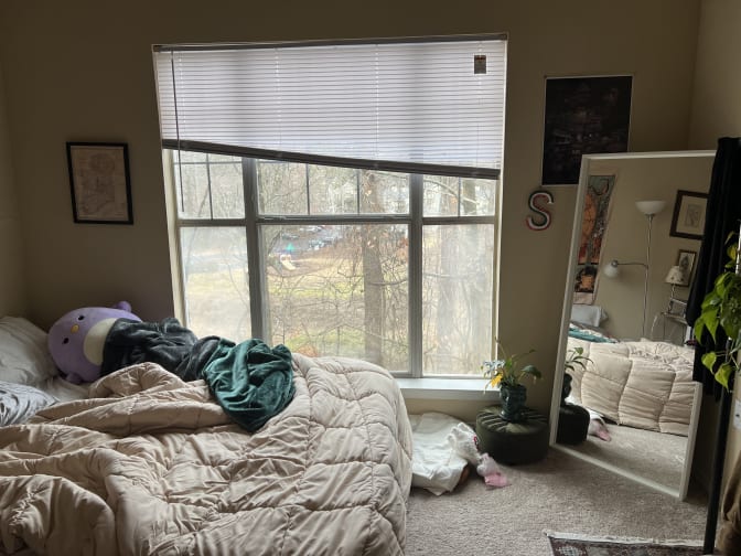 Photo of sreeja's room