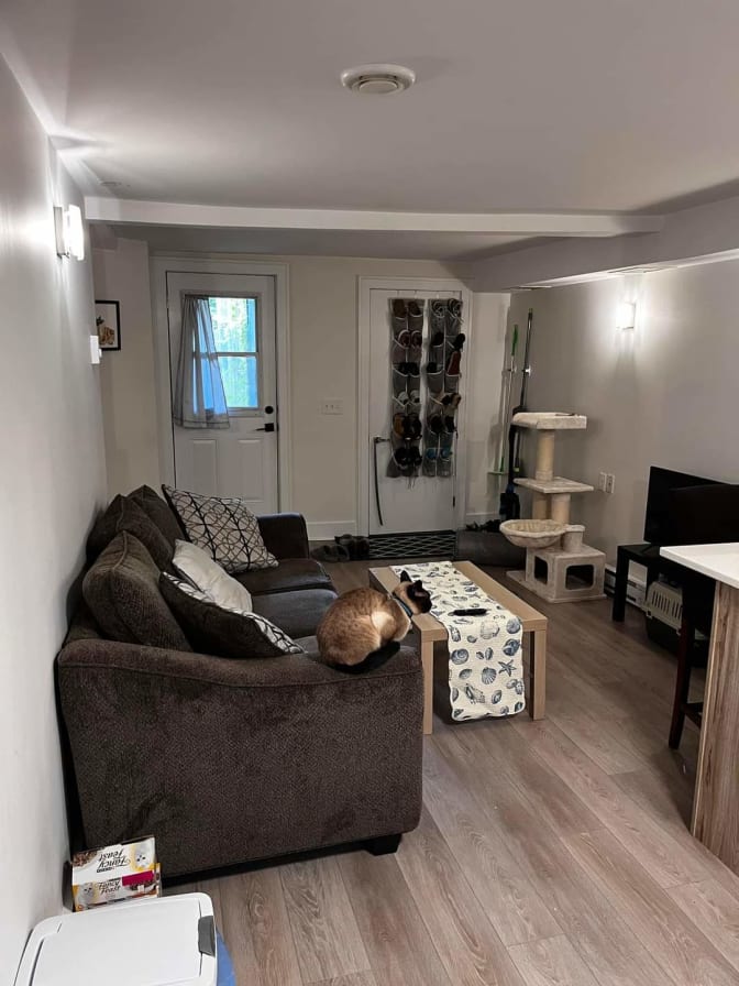 Chadya Bhatia's room