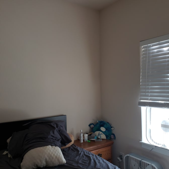 Photo of Kayleigh's room