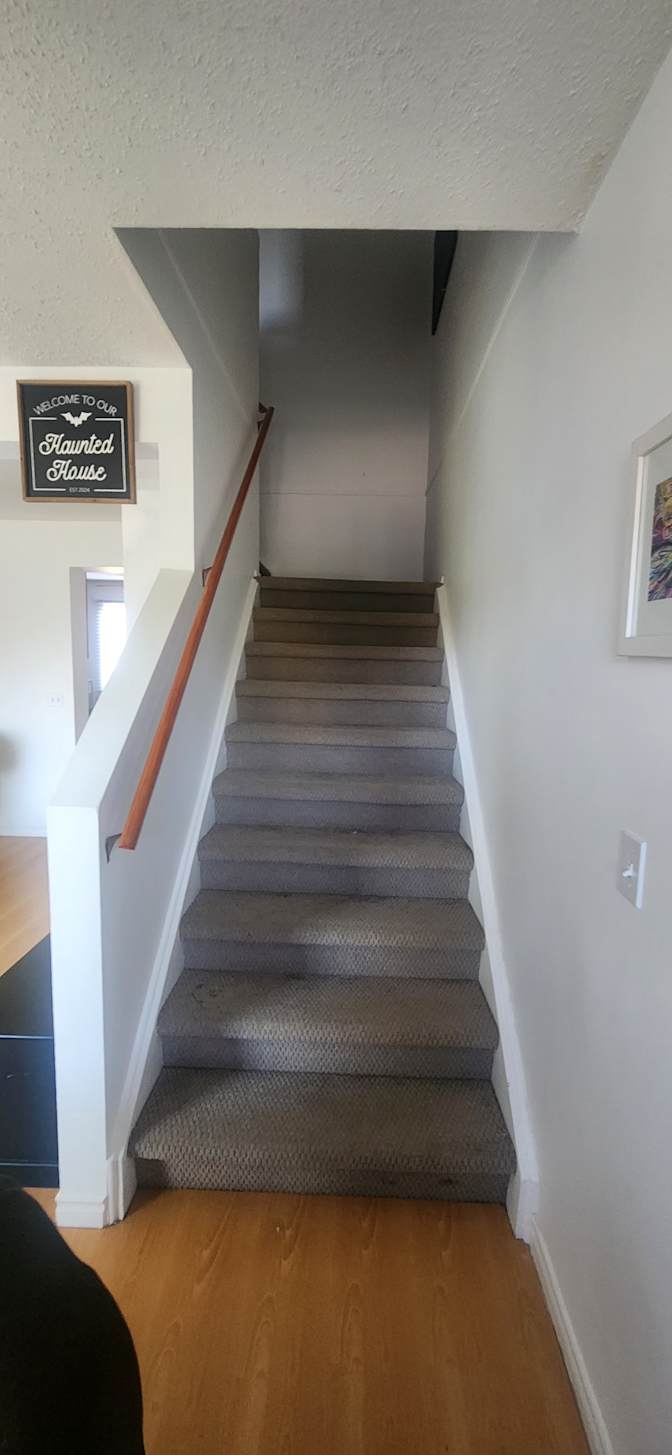 Breanne Zwicker's room