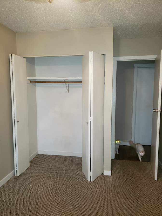 Photo of brody's room