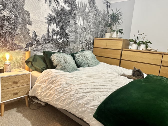Photo of Rachel's room