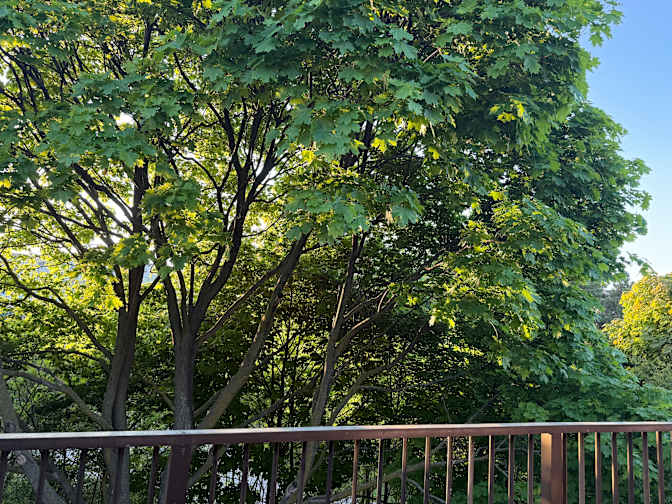 Photo of Navpreet Gill's room