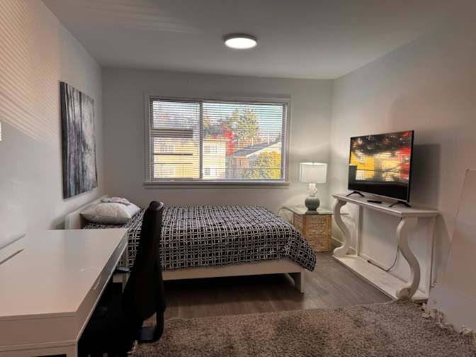 Hila Adilipour's room