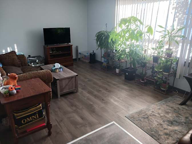 Ben, Savannah, Erin, and Kirsten's room