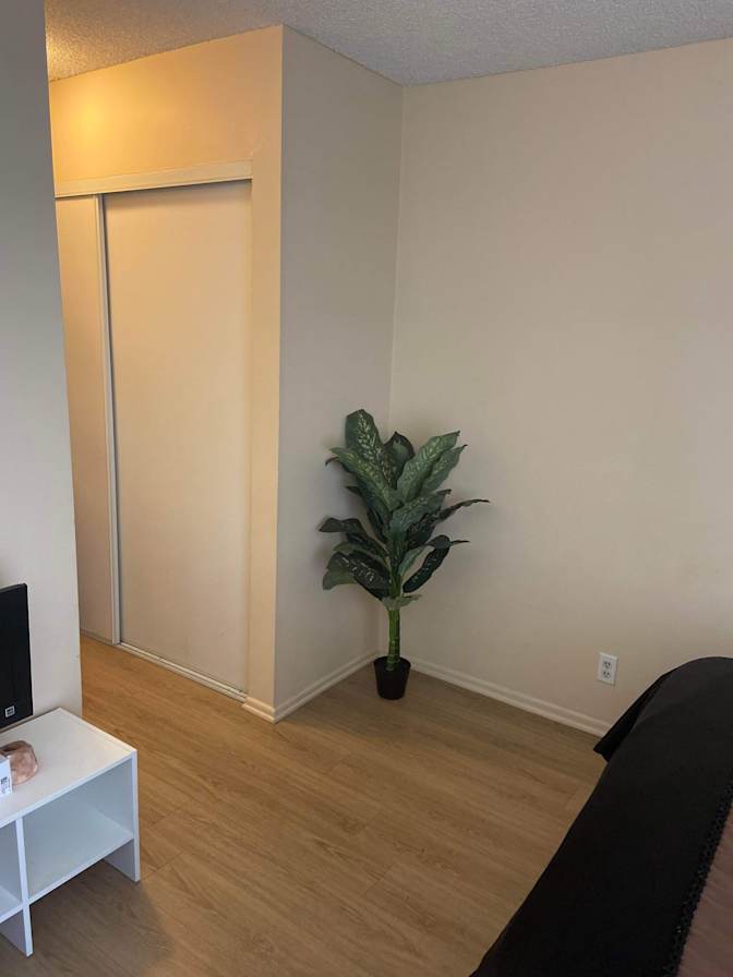 Photo of Tina Brown's room