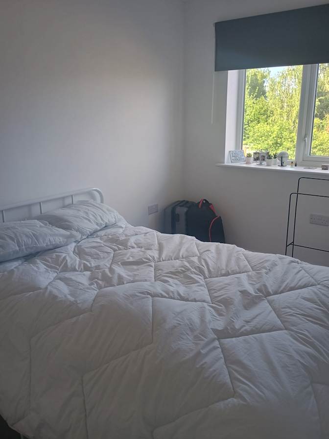 Photo of Kayla Micanes's room