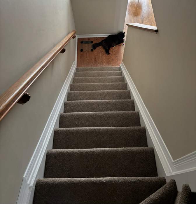 Photo of Andre's room