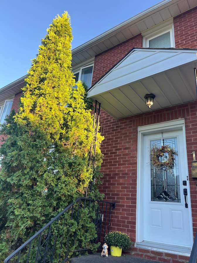 Photo of Sarah's room