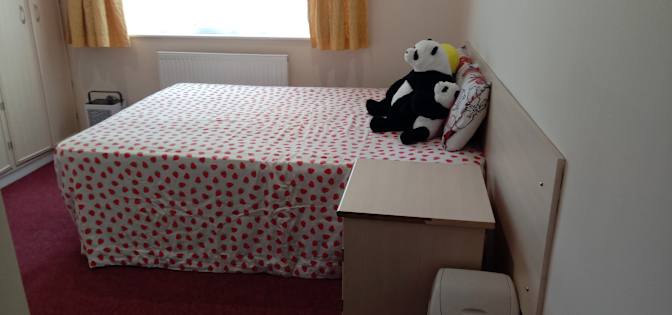 Photo of Sam M's room