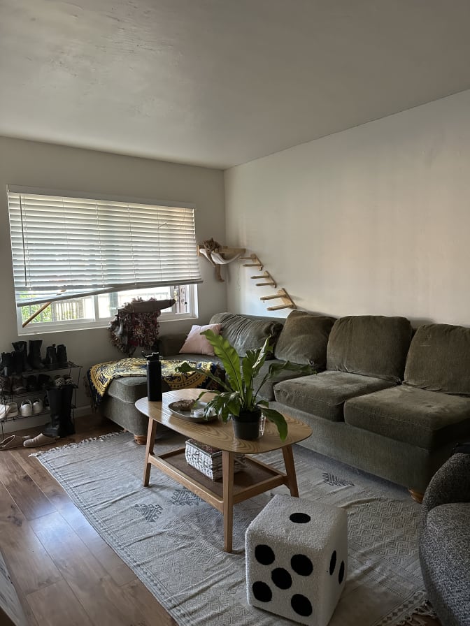 Photo of Jasmine's room