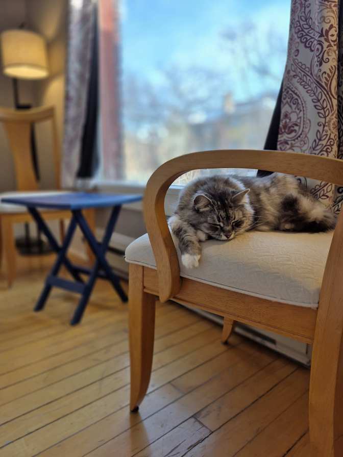 Photo of Victoria's room