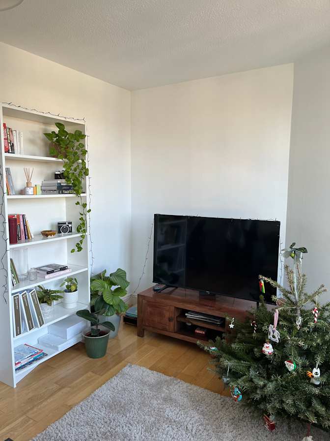 Photo of Shannon's room