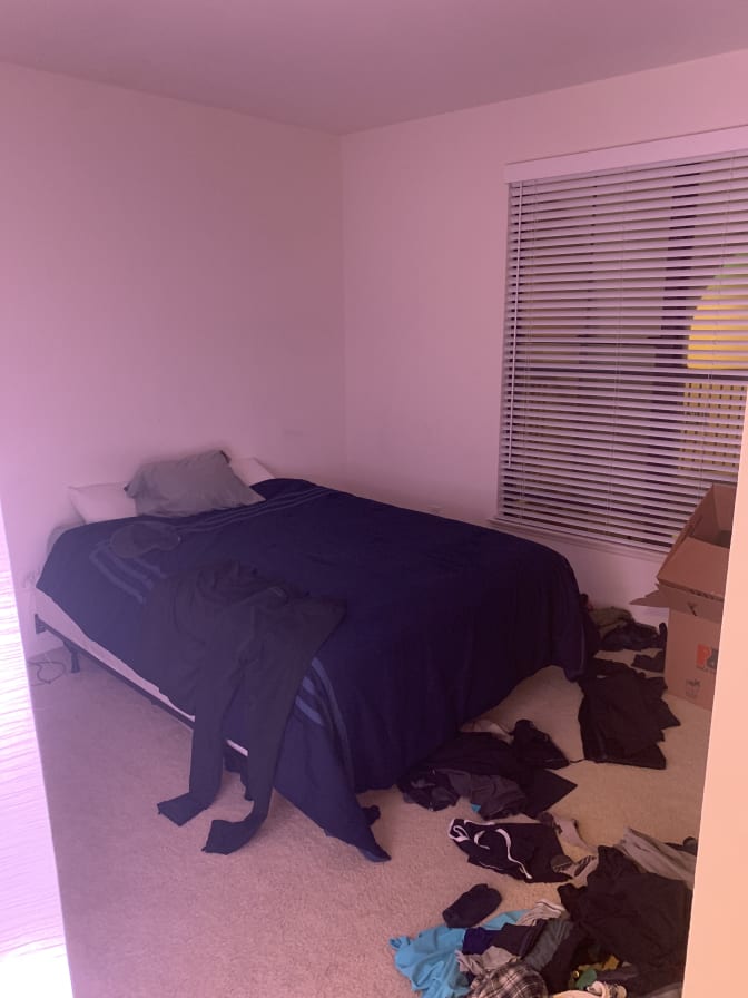 Photo of Noah Sadowski's room