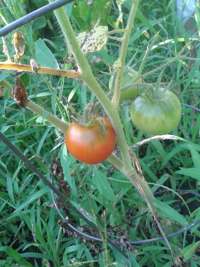 Photo of Laurence's room