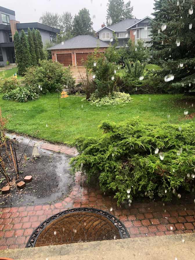 Steve Tanasiuk's room