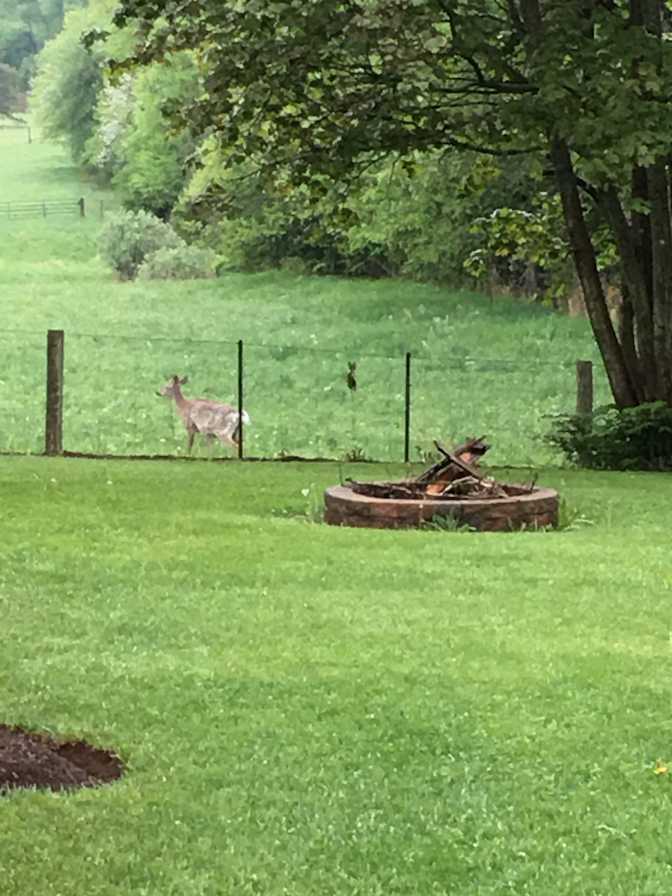 Caledon Suite's room