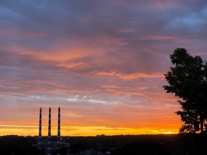 Please Contact's room