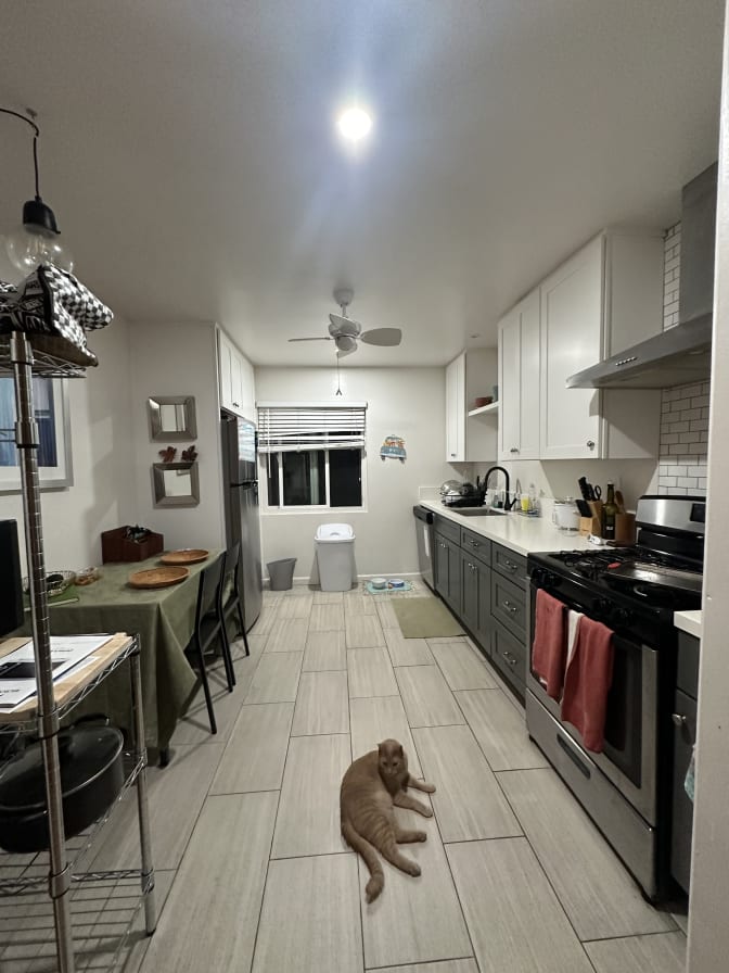 Photo of Jasmine's room