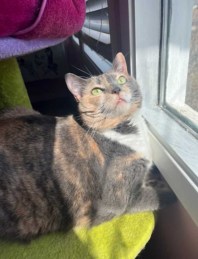 Meghan and Jessica's room