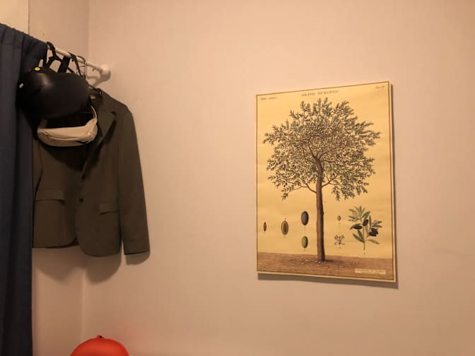 Photo of Martina's room