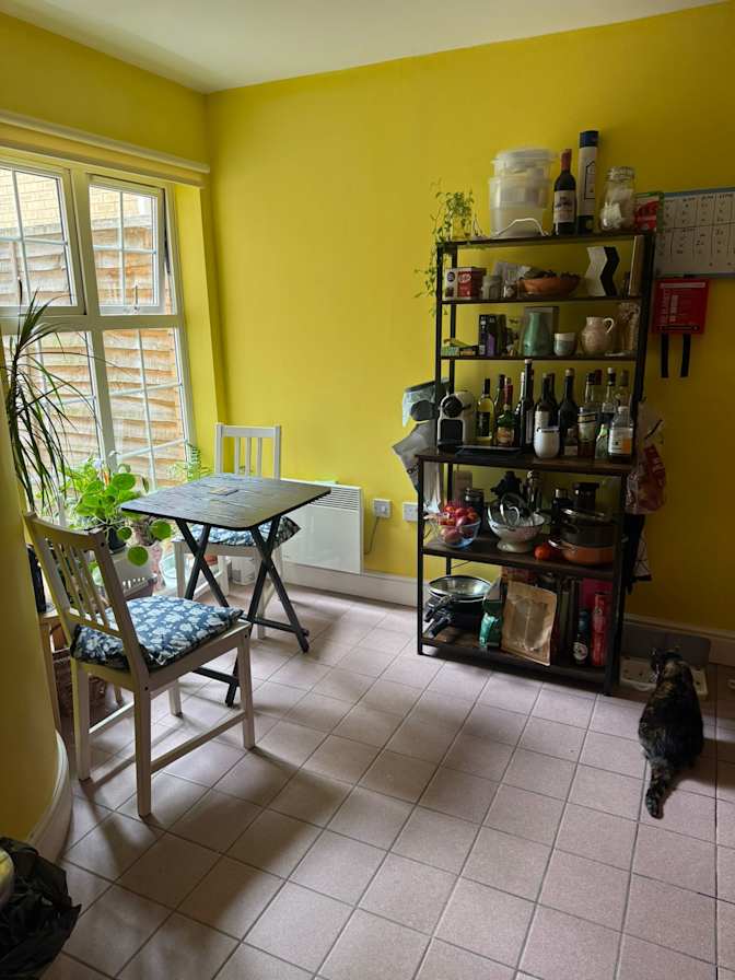 Photo of Kata's room
