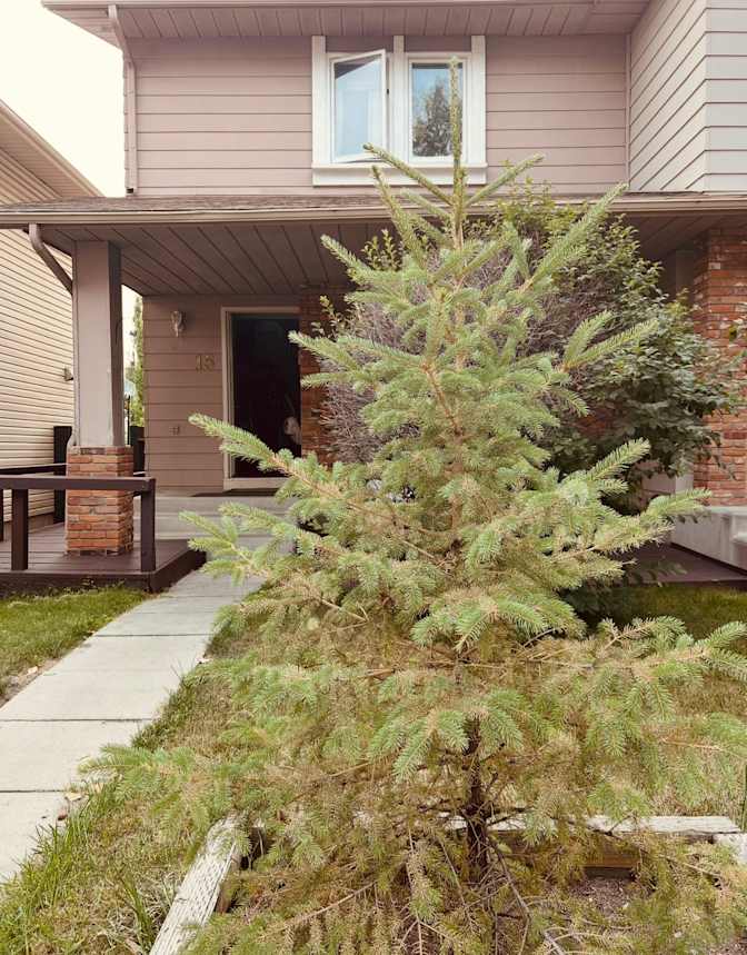 Ditas Fernando's room