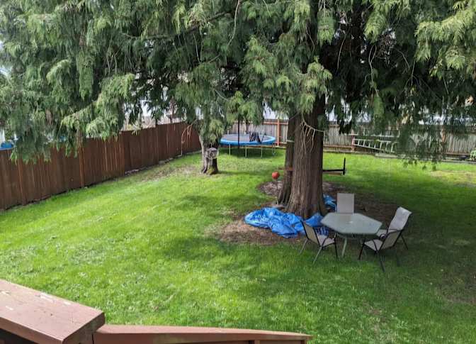 Sayyid Shabar K A's room