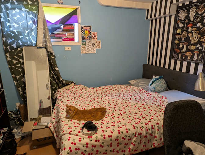 Photo of Leo's room
